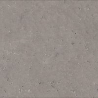 French Gray 504