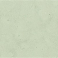 Iceberg Green 505